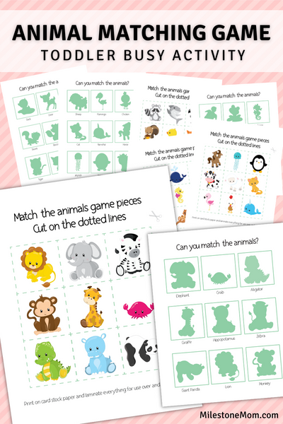 Animal Shadow Matching Cards