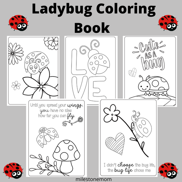 Summer Ladybug Coloring Book