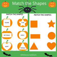 Pumpkin Shape Matching